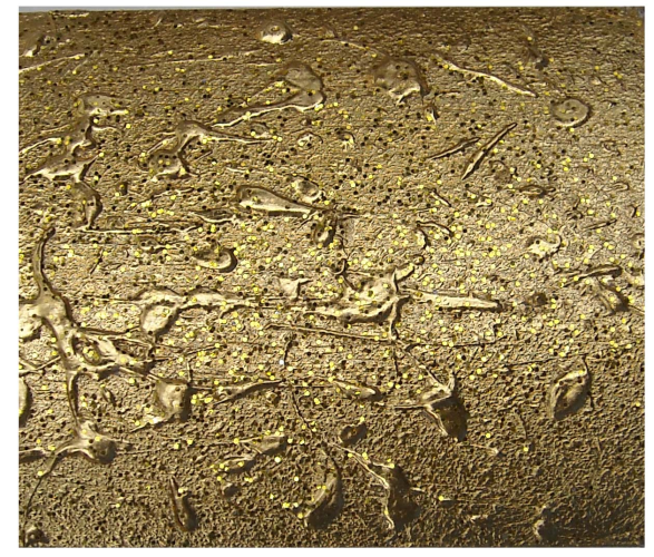 Cornice colbert cm.30x40 oro